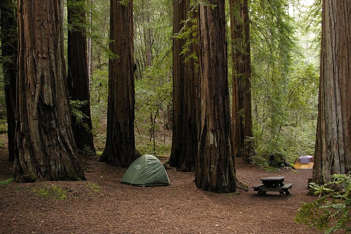 IMGP0919-Edit.jpg - [it]Campeggio in una foresta di redwood, probabilmente nel Richardson Grove State Park.[en]Campsite in a redwood stand, probably in Richardson Grove State Park.