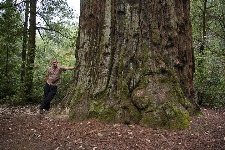 IMGP0945.jpg - [it]Stesso campeggio, 30 metri più in là.[en]Same place, just 30 meters away in the campsite.