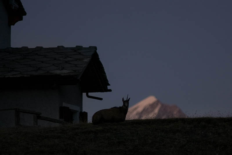 IMGP8768.jpg - [it]tarda serata[en]late evening
