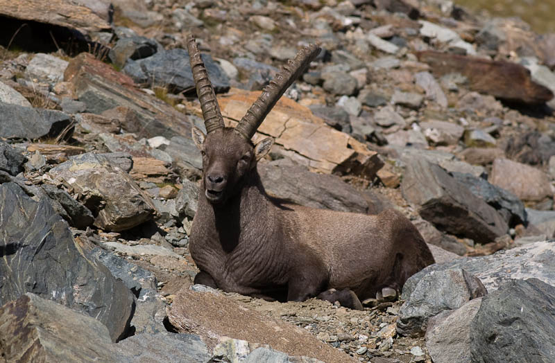 IMGP9087.jpg - [it]più comodo[en]more comfort