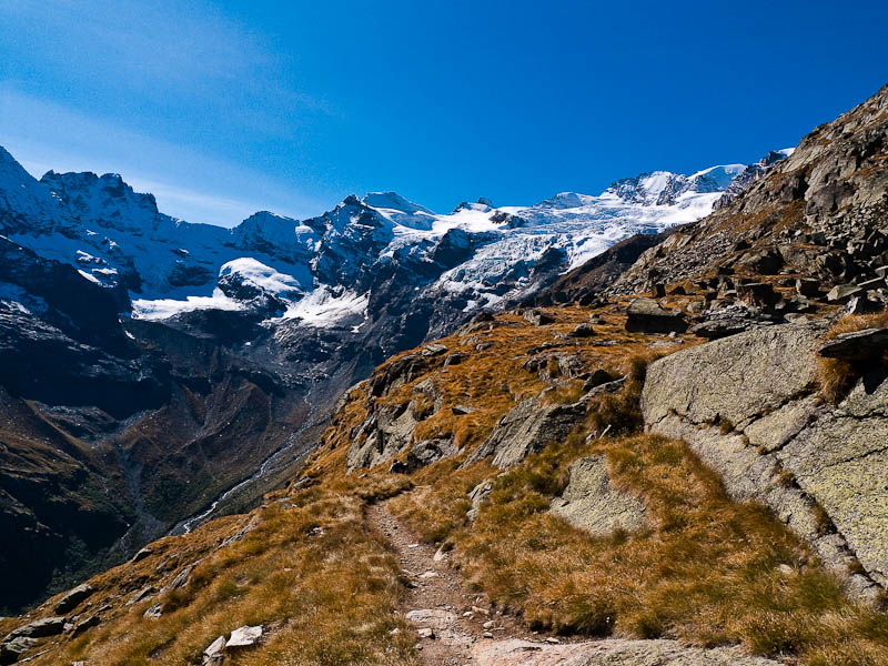 P1050298.jpg - [it]la spettacolare testata della Valnontey, a destra il Gran Paradiso e il Ghiacciaio della Tribolazione.[en]Head of Valnontey valley, on the right Gran Paradiso (m 4061) and Tribolazione Glacier