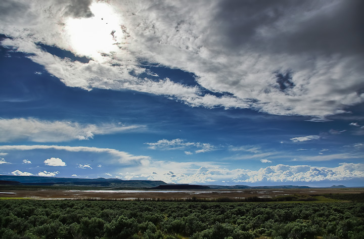 14021403.jpg - [it]Malheur National Wildlife Refuge, copre un'area lunga e larga circa 65 km che include due grandi bacini privi di emissari - Malheur Lake e Harney Lake - nell'Oregon Sudorientale.[en]Malheur National Wildlife Refuge in Southeastern Oregon. The area includes Malheur Lake and Harney Lake, both having no outlet.